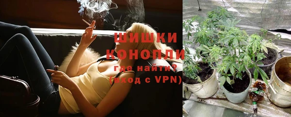 гидропоника Богородицк