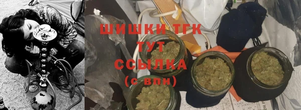 гидропоника Богородицк